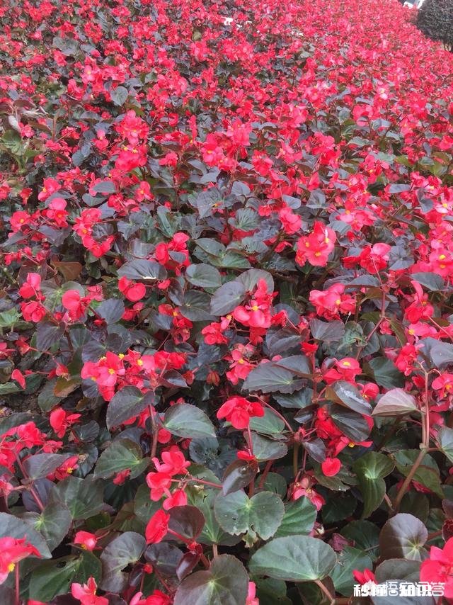 该如何从点滴爱惜自己的身体