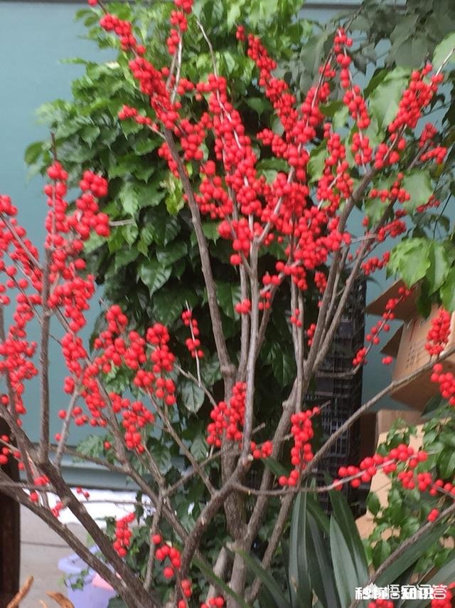 该如何从点滴爱惜自己的身体