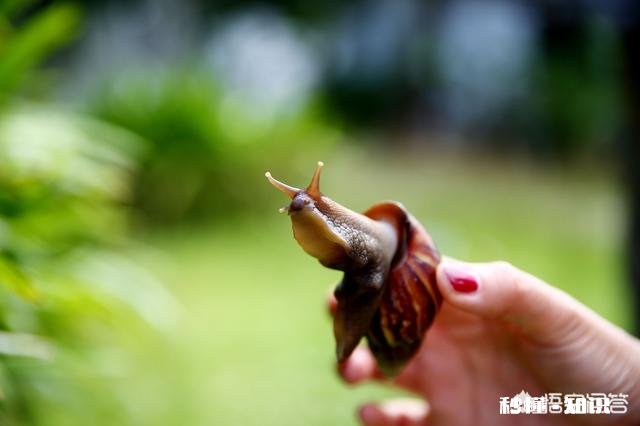 想拍好抖音，需要注意什么