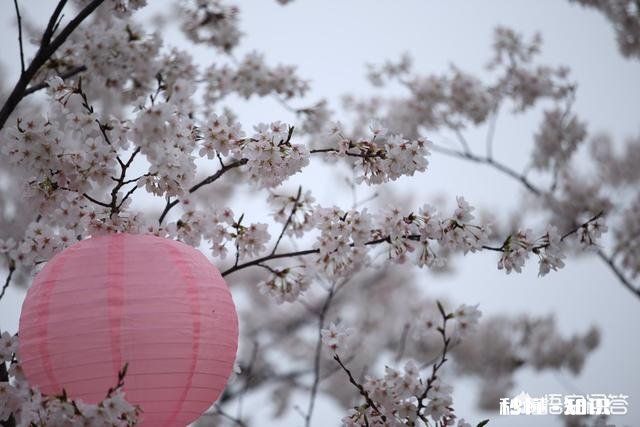 照片没拍好，怎样用后期进行补救