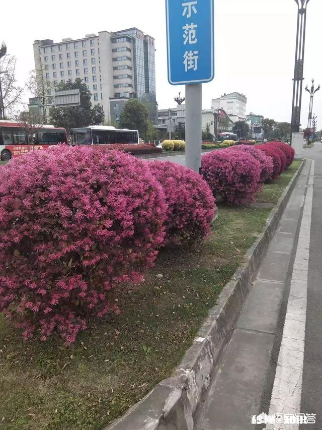 专题摄影怎么拍摄