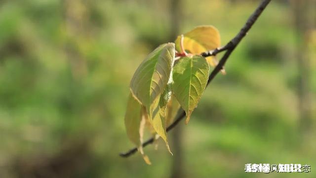 专题摄影怎么拍摄