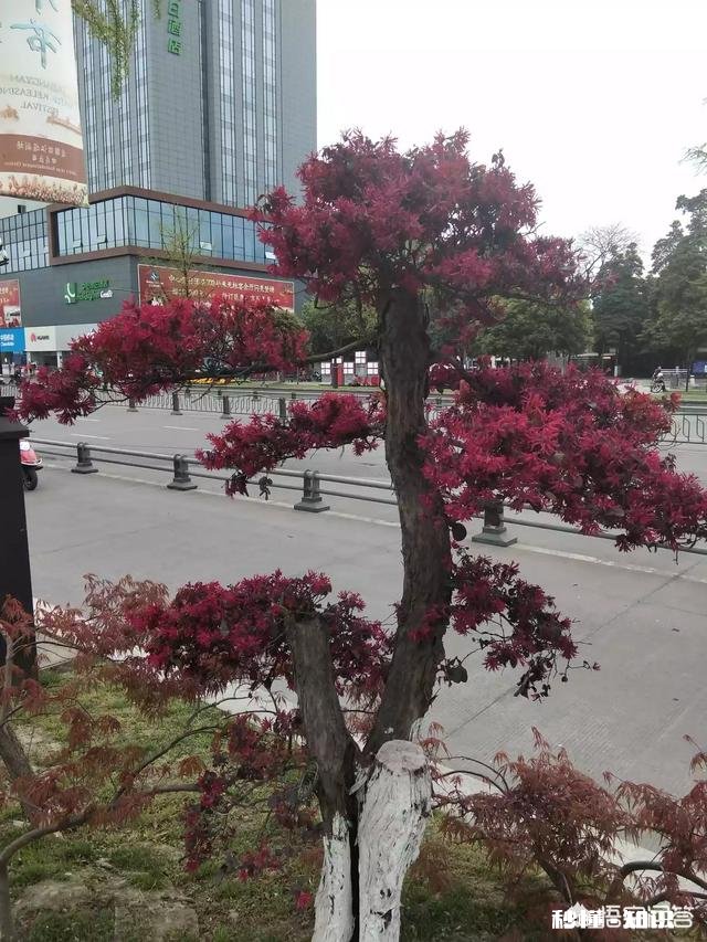 专题摄影怎么拍摄