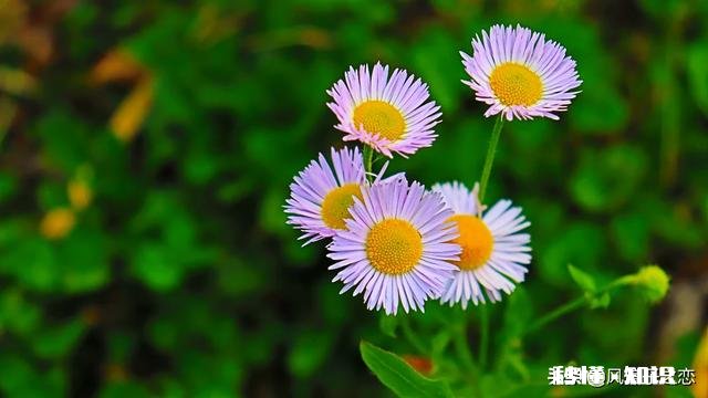 专题摄影怎么拍摄