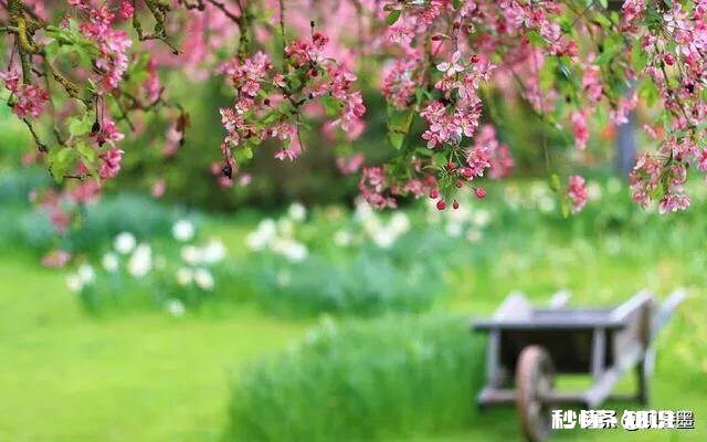 全画幅有必要防抖吗