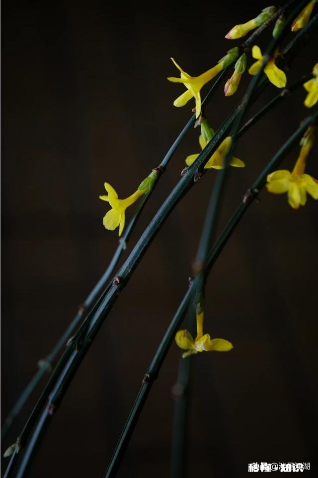 全画幅有必要防抖吗