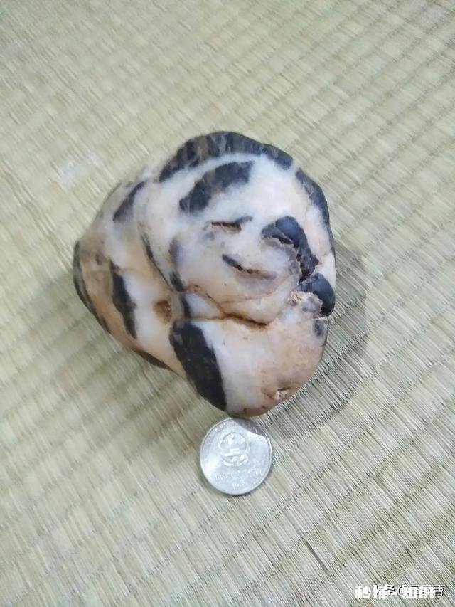 如果用简单的一句话形容今日头条的价值，你认为会是什么