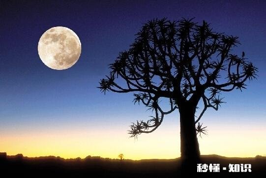 你那么爱一个人，为什么不主动