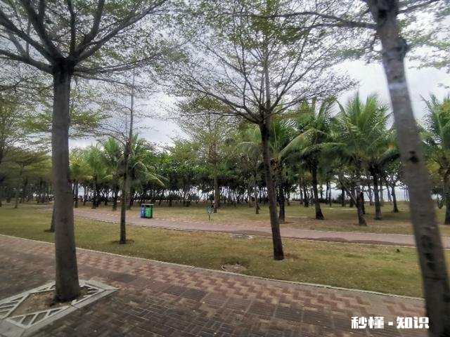 三亚冬天潮不潮湿体感如何