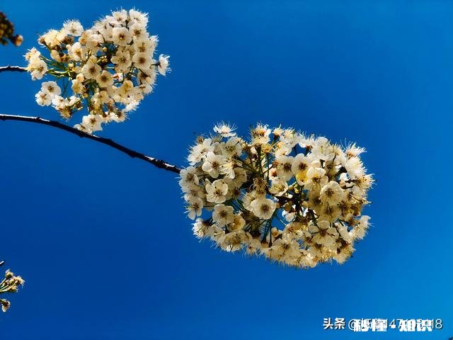 你们结婚给了多少彩礼，因为这个有什么故事，最终走到一起了吗