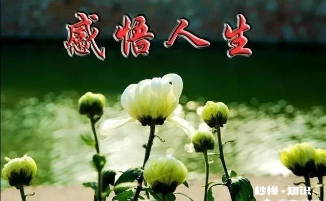 如何对待不回你消息的人