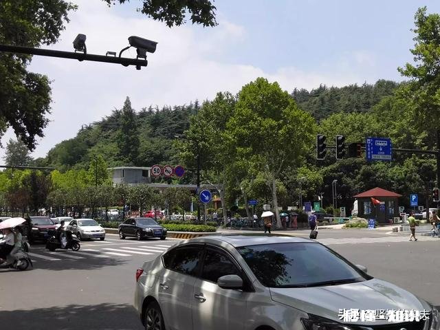 今天收到违停信息，想问问老司机们，开车时怎么知道该路段能不能停车