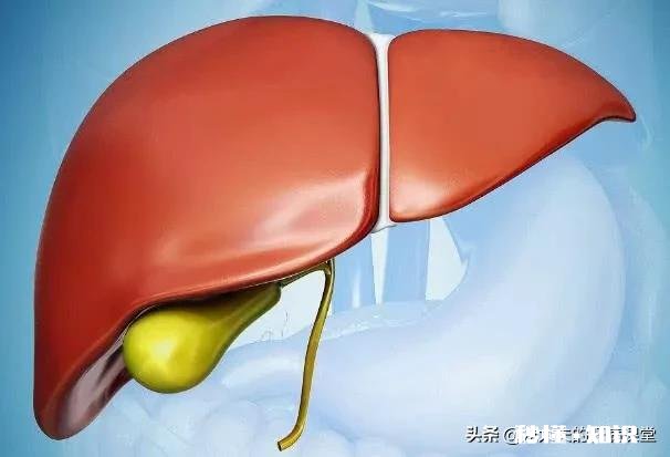 报告下面提示写:肝脏右叶均质性高回声灶，血管瘤与其他鉴别。医生说没事，真没事吗