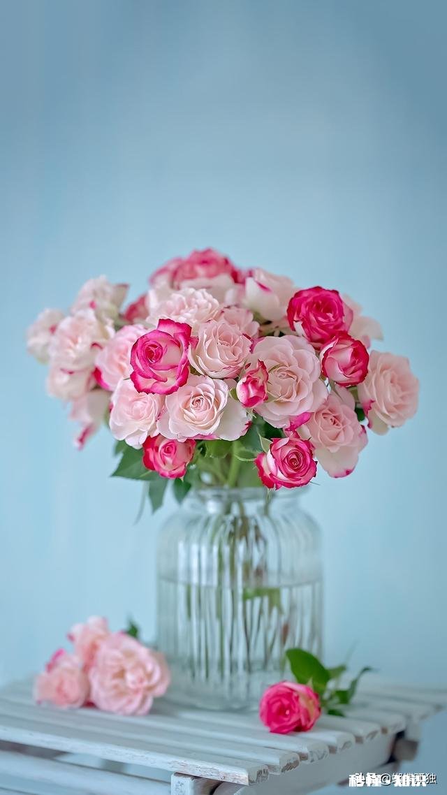 雌激素高怎么回事