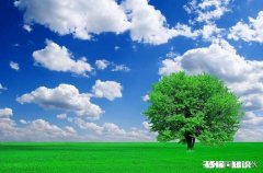 如何让丈夫支持自己的工作