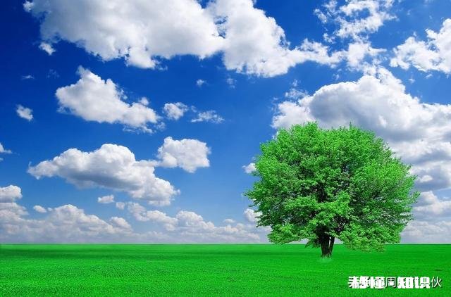 如何让丈夫支持自己的工作