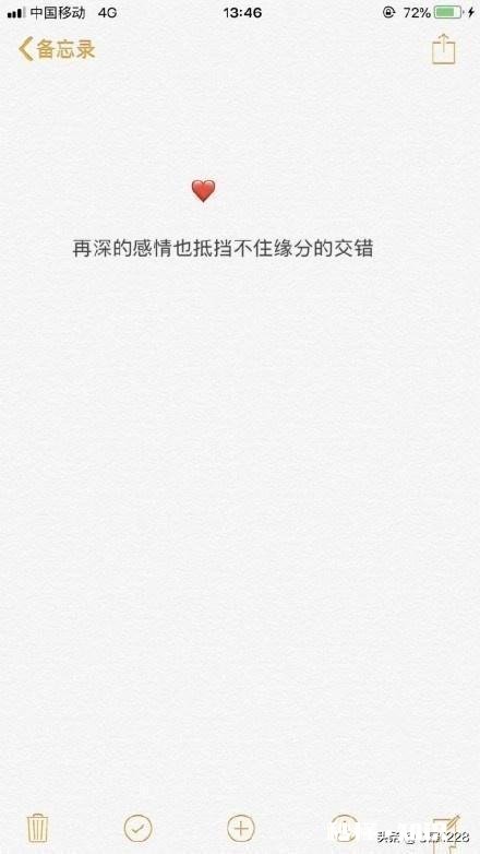 爱上了不该爱的人，得到了不该得到的心，怎么办