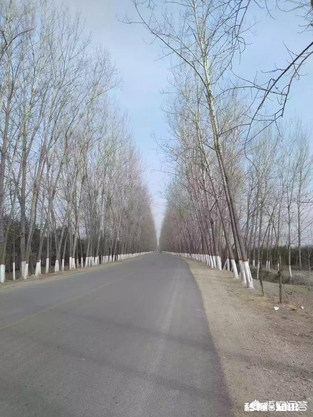 很多人说电子商务的门槛很低,到底有多低呢