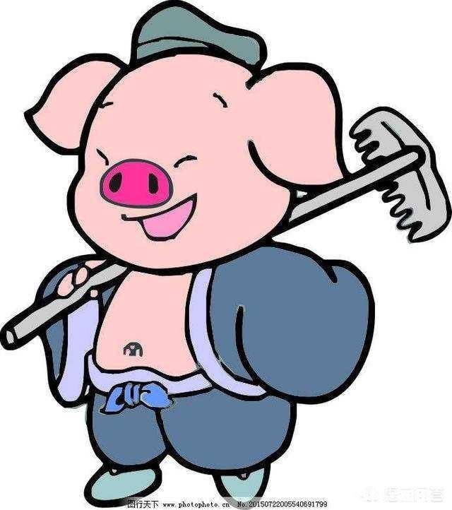 想换个新手机,贵了又担心5G普及会被淘汰,便宜了又怕质量性能不好,有什么推荐吗