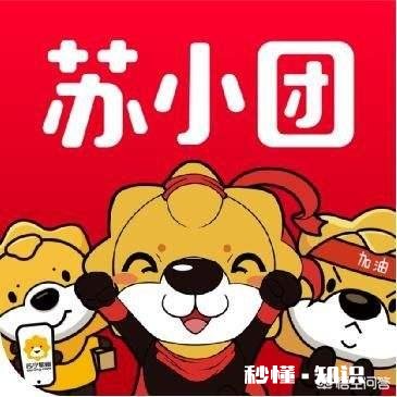你是怎么看待苏宁小店的社区拼团项目的