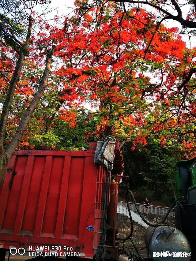7~8月份的攀枝花热吗
