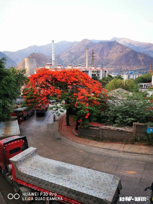 7~8月份的攀枝花热吗