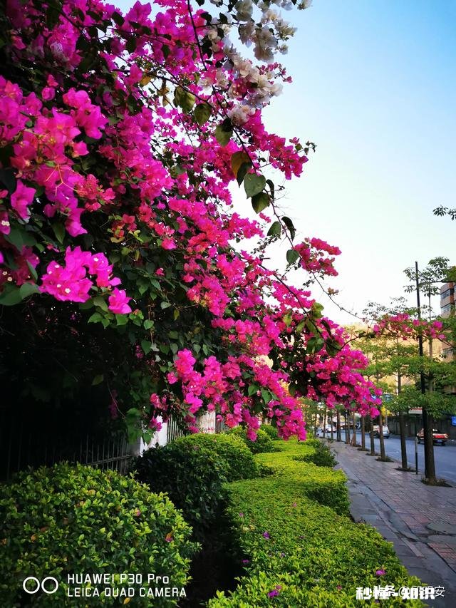 7~8月份的攀枝花热吗