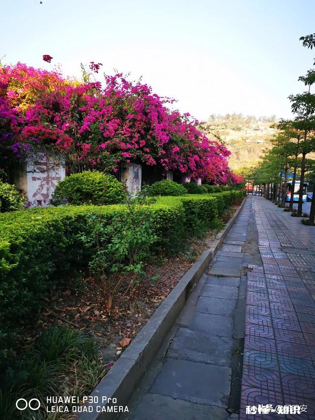 7~8月份的攀枝花热吗