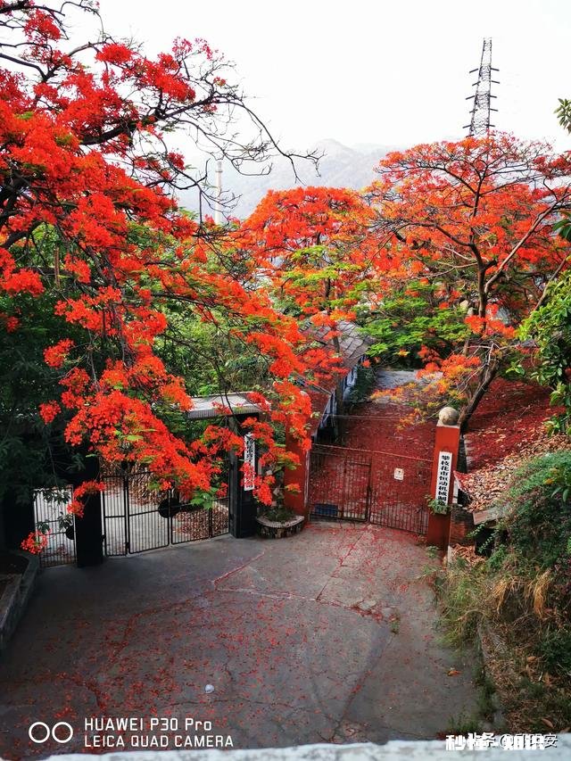 7~8月份的攀枝花热吗