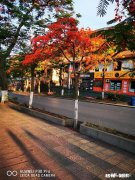 7～8月份的攀枝花热吗