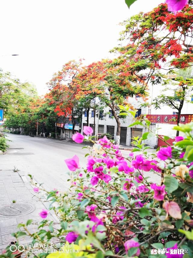 7~8月份的攀枝花热吗