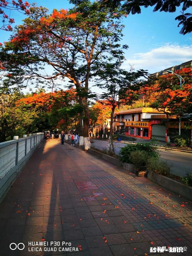 7~8月份的攀枝花热吗