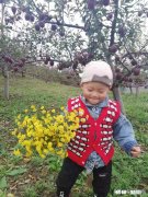 视频含有被投诉涉嫌侵犯他人版权的内容，怎么解决