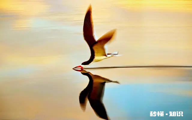 什么叫有上进心，什么叫没上进心男生有无上进心似乎对女生非常重要