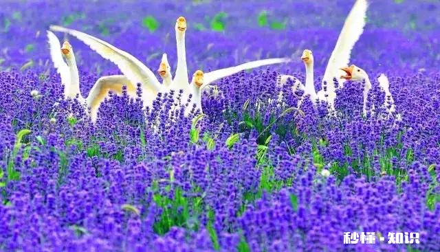 什么叫有上进心，什么叫没上进心男生有无上进心似乎对女生非常重要