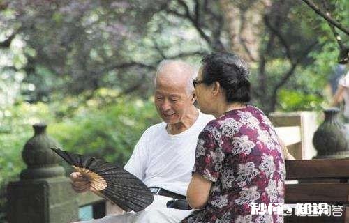 中国老人现状如何