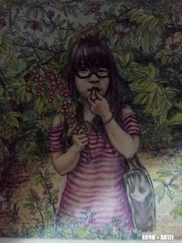 有哪些简单彩铅画