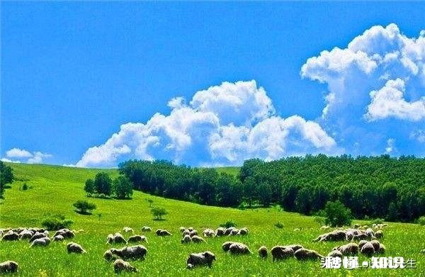 我有300亩土地，环境交通气候都很好，如何与他人合作利用