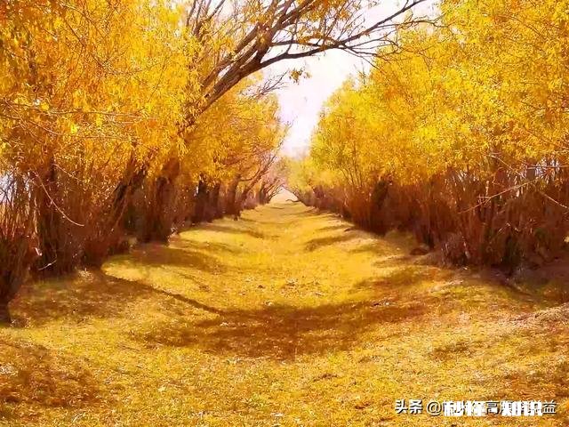 能否晒出你朋友圈被点赞最多的旅游照片