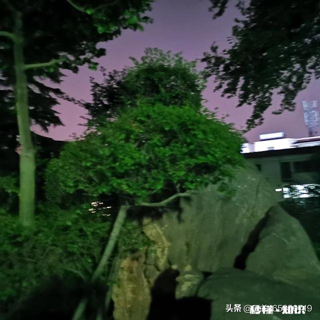 能否晒出你朋友圈被点赞最多的旅游照片