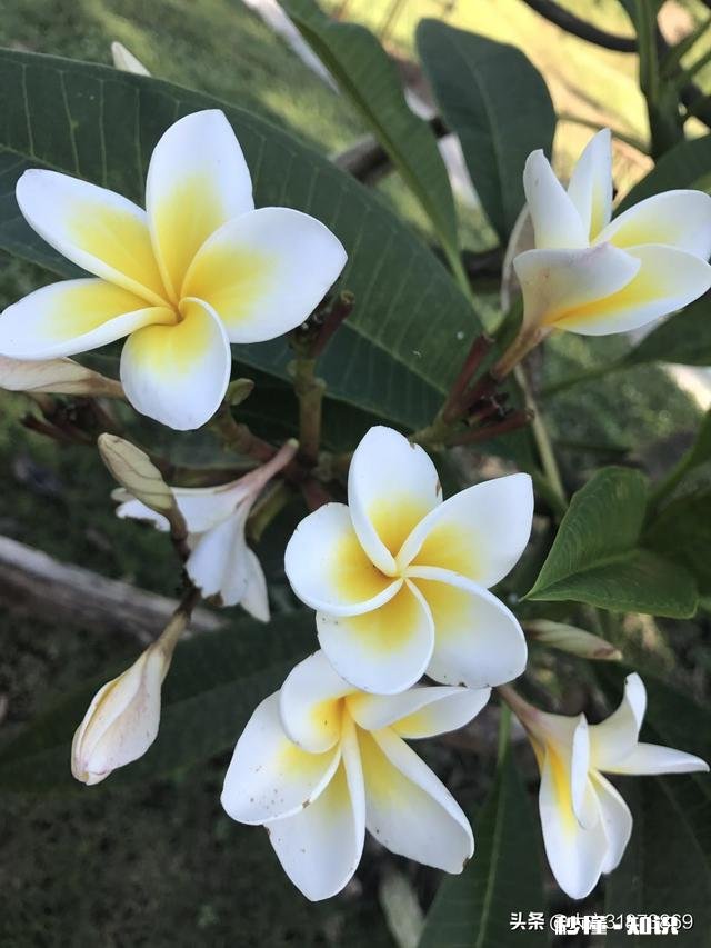 能否晒出你朋友圈被点赞最多的旅游照片