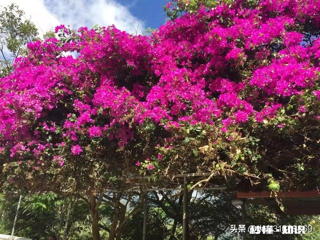 能否晒出你朋友圈被点赞最多的旅游照片