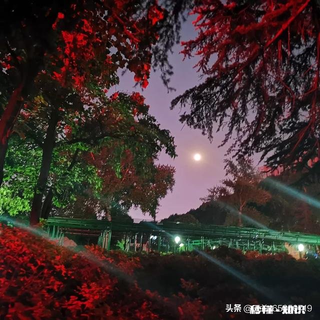 能否晒出你朋友圈被点赞最多的旅游照片