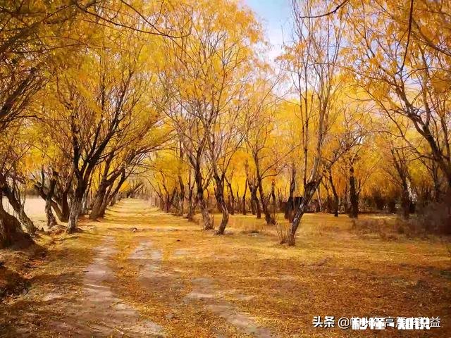 能否晒出你朋友圈被点赞最多的旅游照片