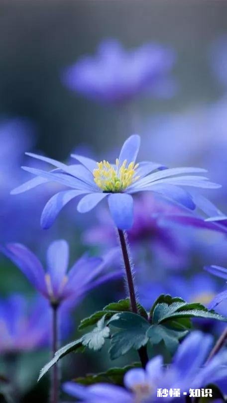 “多个朋友多条路”这句话你们认同吗有什么经历