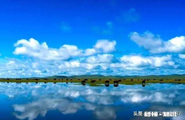 为什么00后的我已经不相信爱情了