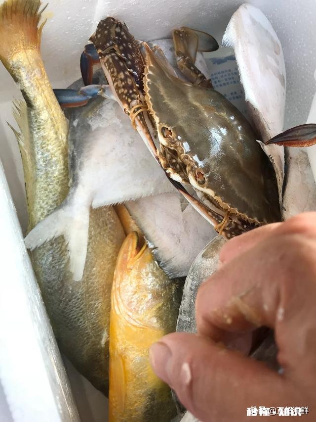 快来围观下疫情期间,你在家都祸害了哪些食材