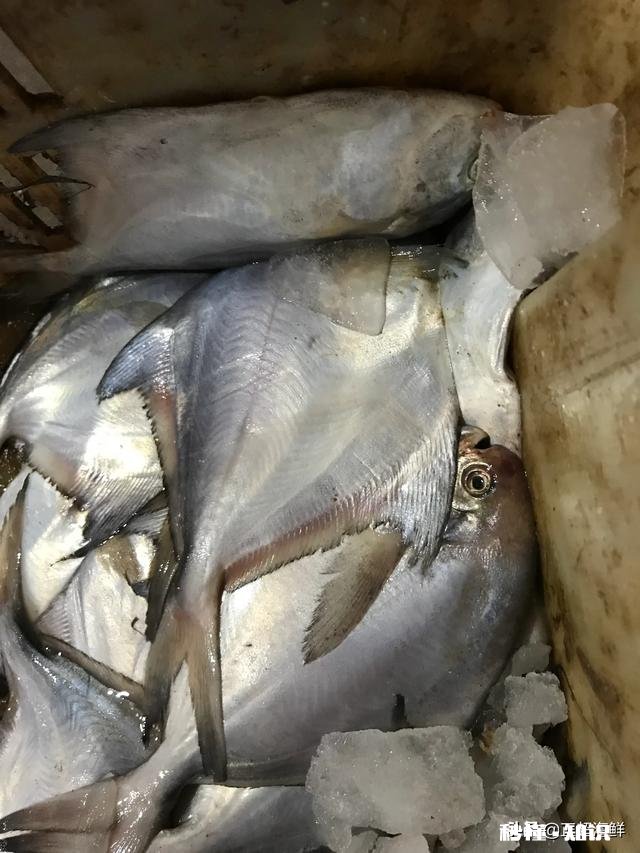 快来围观下疫情期间,你在家都祸害了哪些食材