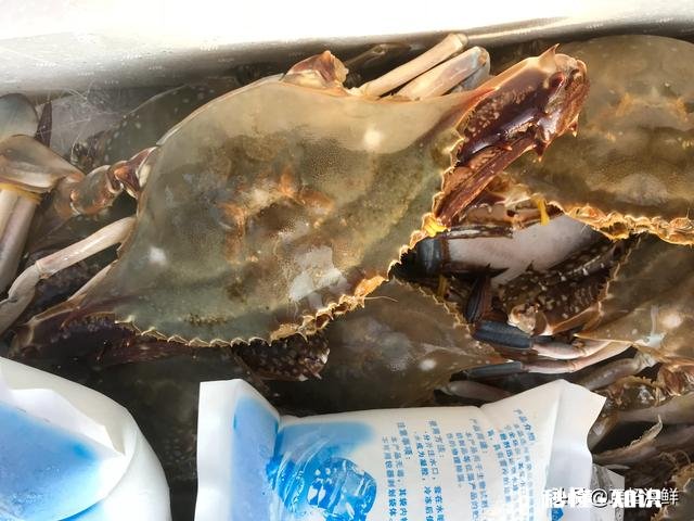 快来围观下疫情期间,你在家都祸害了哪些食材