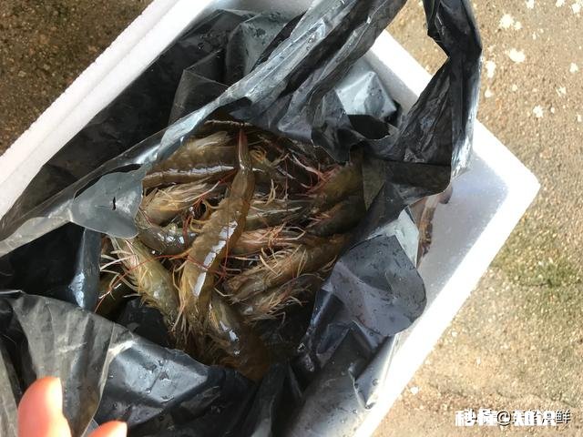 快来围观下疫情期间,你在家都祸害了哪些食材